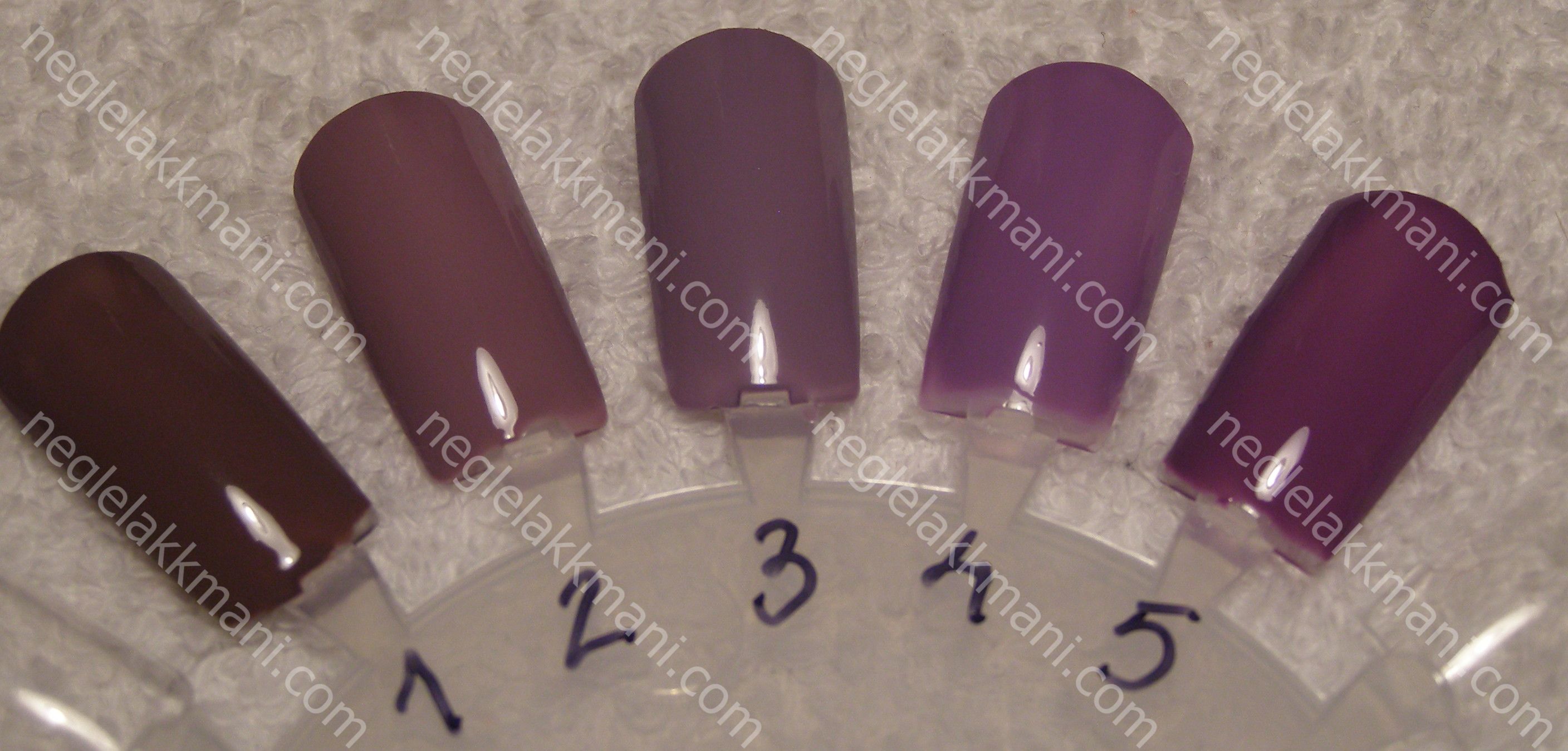 1. Cannelesque, China Glaze 2. Who's Wearing What, China Glaze 3. Done Out In Deco, OPI 4. Do You Lilac It?, OPI 5.Spontaneous, China Glaze