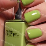 NOTD Pur Ice Wild Thing & Crazy Konad m61