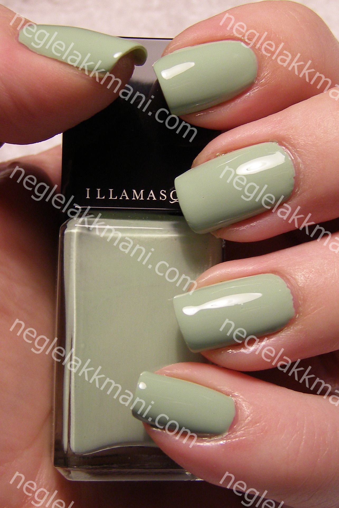 Illamasqua milf