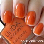 Linda Johansen Pumpkin Pie