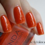 Linda Johansen Pumkin Pie med bling