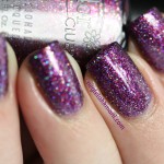 Color Club Gift Of Sparkle