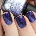 Picture Polish Orbit